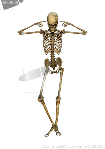 Image of 3D Illustration Human Skeleton on White