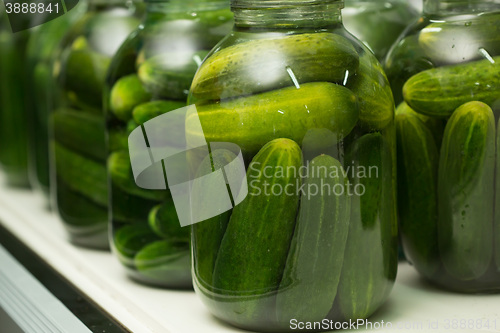 Image of gurtsov conservation. Fresh cucumbers in jars