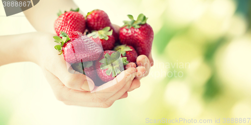 Image of close up of woman hands holding strawberries