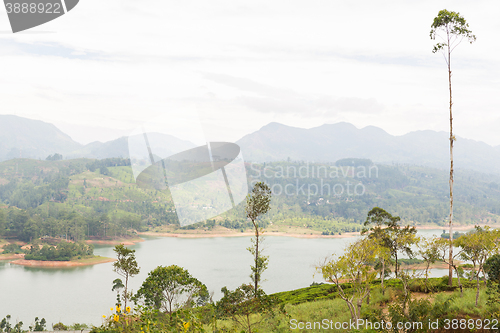 Image of view to lake or river from land hills on Sri Lanka