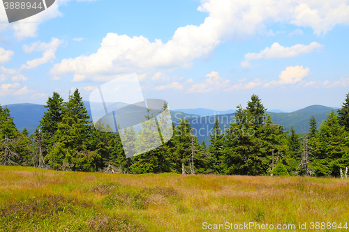 Image of jeseniky mountains nature