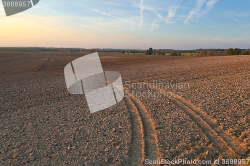 Image of Agircutural field in late sunlight