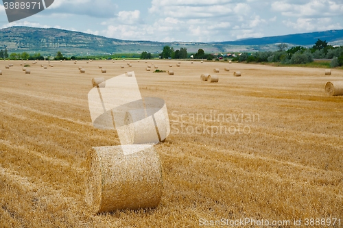 Image of Agricultural field with bales