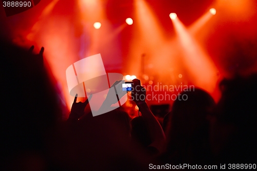 Image of Concert Crowd View