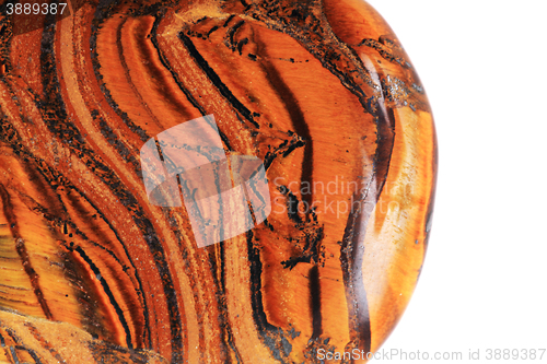 Image of tiger eye isolated