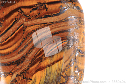 Image of tiger eye isolated