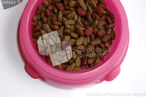 Image of Cat Food