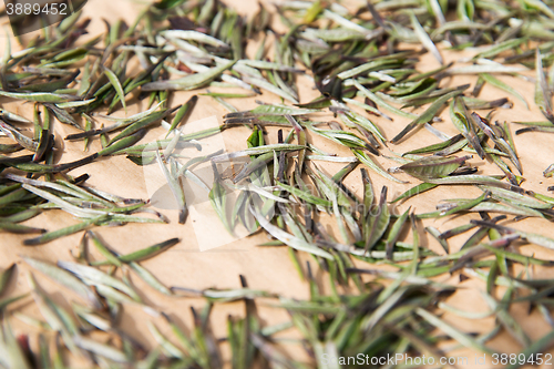 Image of close up of tea raw drying