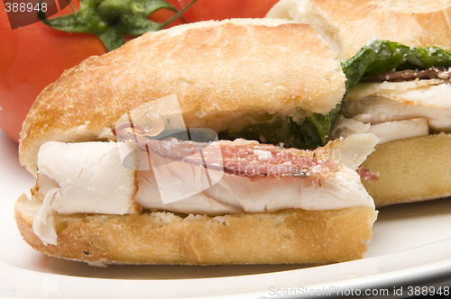 Image of gourmet chicken sandwich