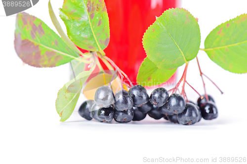 Image of Macro shot of aronia