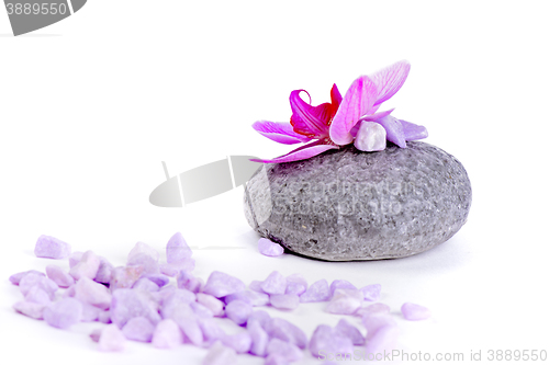 Image of Salt, stone and orchid