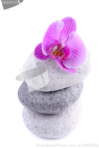 Image of Stack of spa stones with flower 