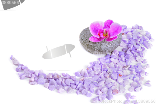 Image of Salt, stone and orchid