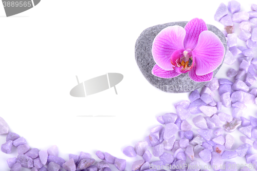 Image of Salt, stone and orchid