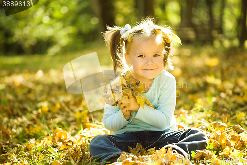 Image of Portrait of a little girl in autumn park