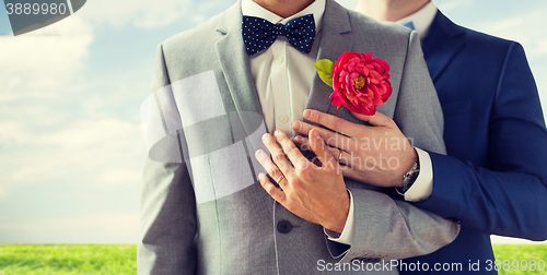 Image of close up of happy male gay couple