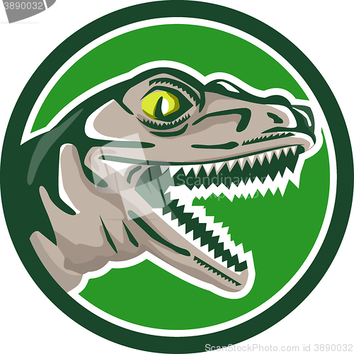 Image of Raptor Head Side Circle Retro