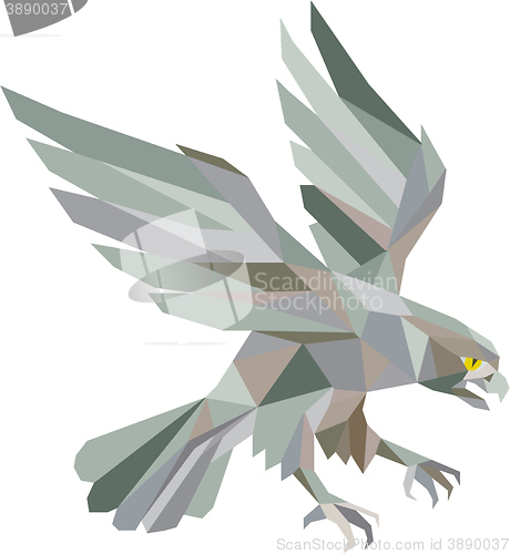 Image of Peregrine Falcon Swooping Grey Low Polygon