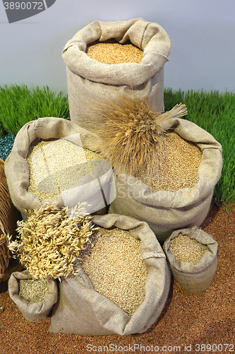 Image of Grains