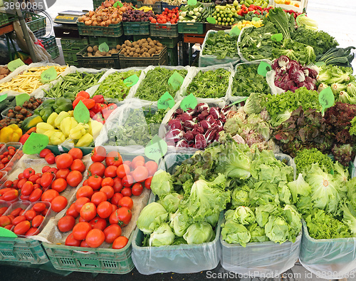 Image of Green Market