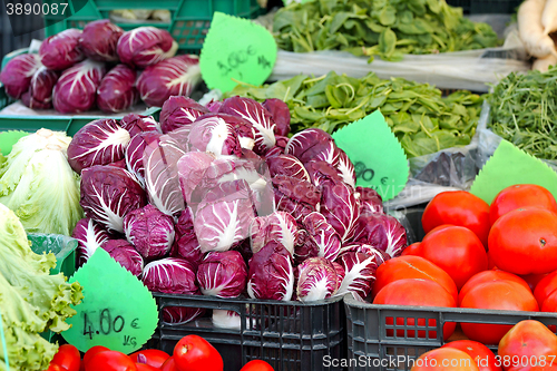 Image of Radicchio