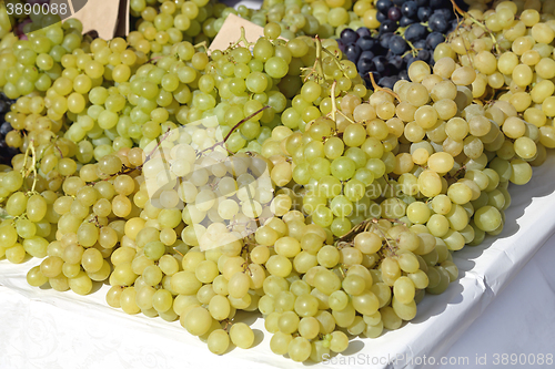 Image of Grapes