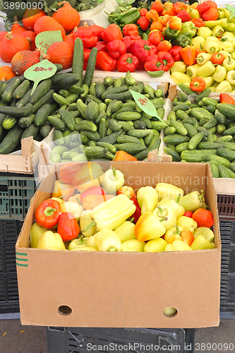 Image of Vegetables