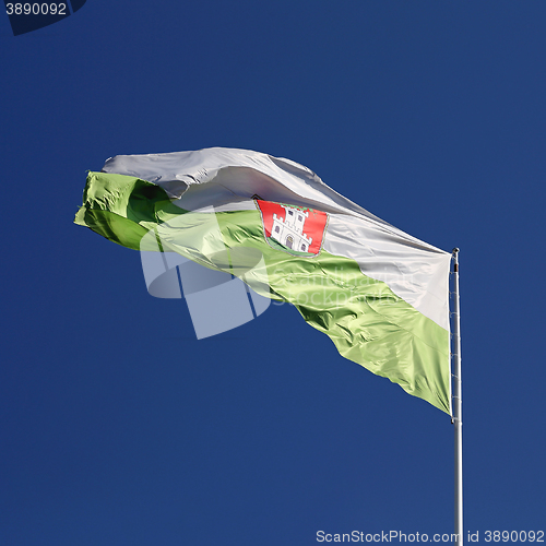 Image of Flag of Ljubljana