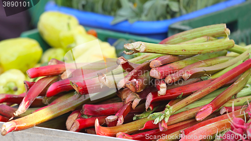 Image of Rhubarb