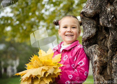 Image of Portrait of a little girl in autumn park