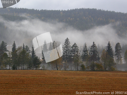 Image of mist,tåke