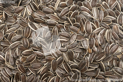 Image of raw sunflower seeds