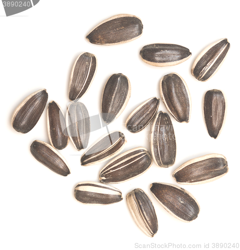 Image of raw sunflower seeds