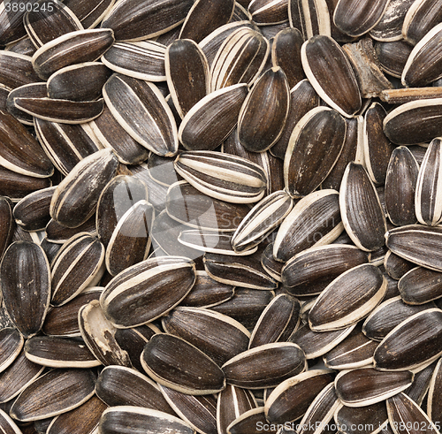 Image of raw sunflower seeds