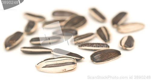 Image of raw sunflower seeds