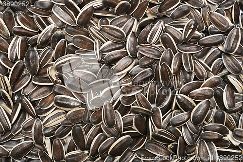 Image of raw sunflower seeds