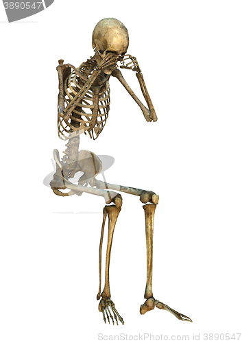 Image of 3D Illustration Human Skeleton on White