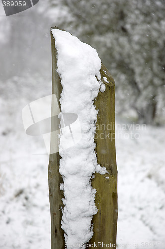 Image of Snowy pole