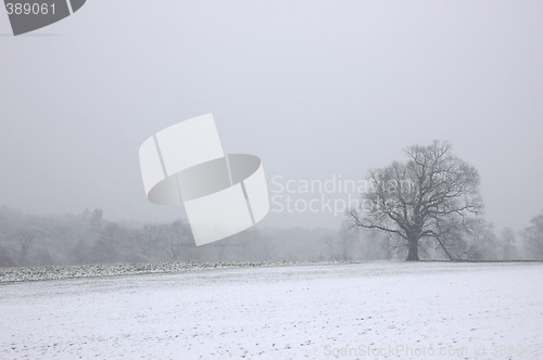 Image of Snowing