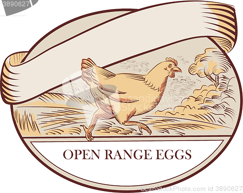 Image of Hen Running Open Range Eggs Oval Drawing