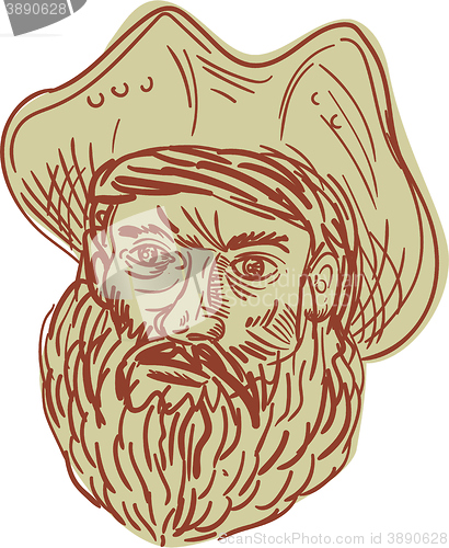 Image of Pirate Head Beard Drawing