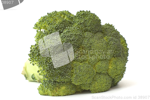 Image of Broccoli