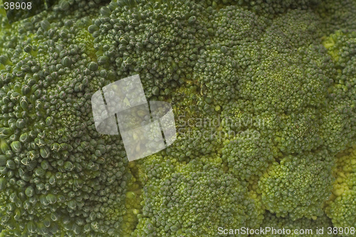 Image of Broccoli