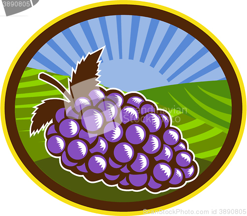Image of Grapes Vineyard Farm Oval Woodcut