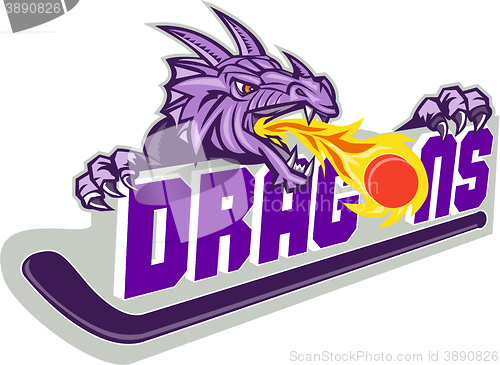 Image of Dragon Fire Puck Hockey Stick Retro