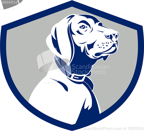 Image of Dog Pointer Head Profile Side Crest Retro