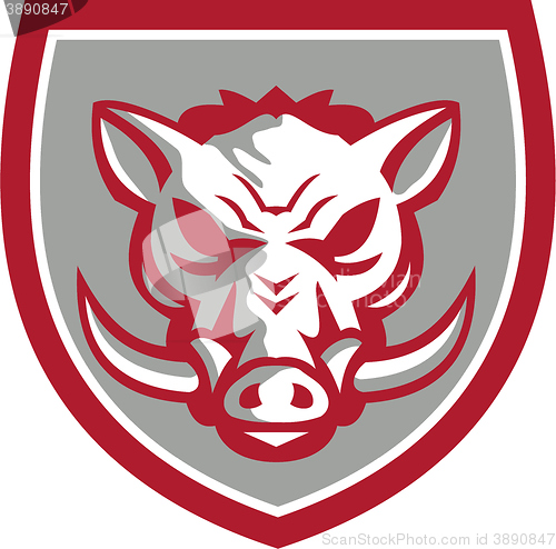 Image of Wild Boar Razorback Head Angry Shield Retro