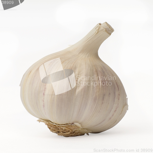 Image of Garlic