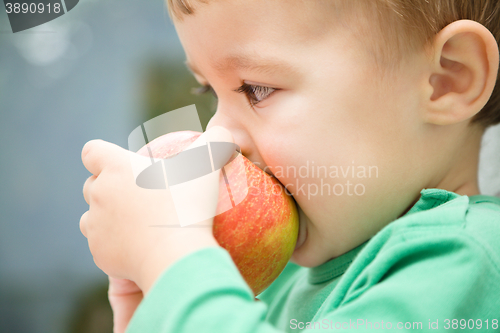 Image of Little child is biting red apple and smile