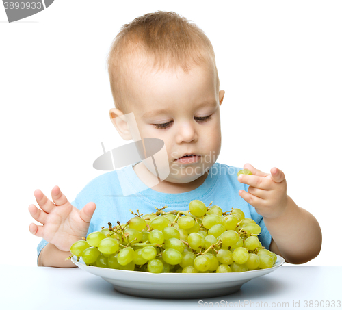 Image of Little boy is eating grapes